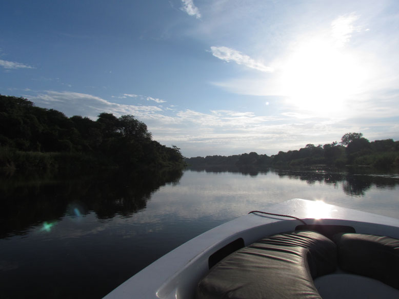 ,e mejor forma de ver la faunan del parque